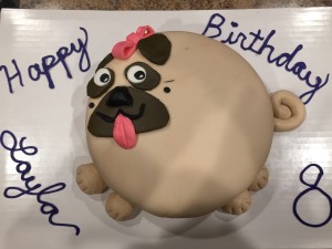 Layla's B'Day Cake
